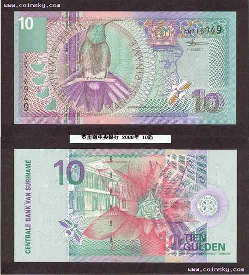 绿喉芒果蜂鸟 Green-throated Mango