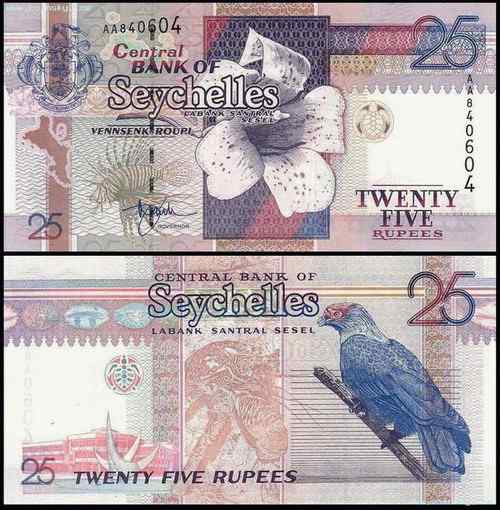 塞舌尔蓝鸽 Blue Pigeon