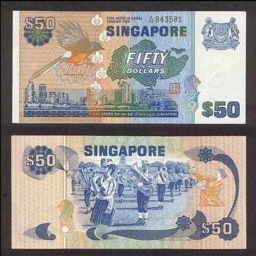 新加坡白腰鹊鸲