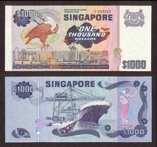 新加坡栗鸢（yuān）