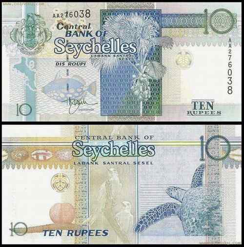 塞舌尔白燕鸥  Fairy Terns 