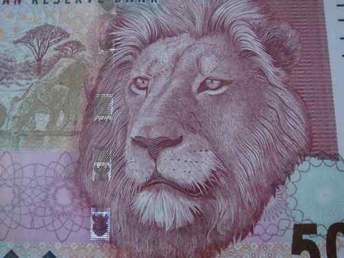 推荐的动物版纸币