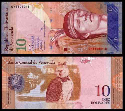 委内瑞拉美洲角雕