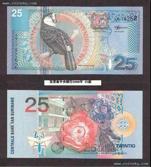 白喉巨嘴鸟 White throated Toucan