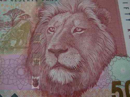 南非兰特——非洲象