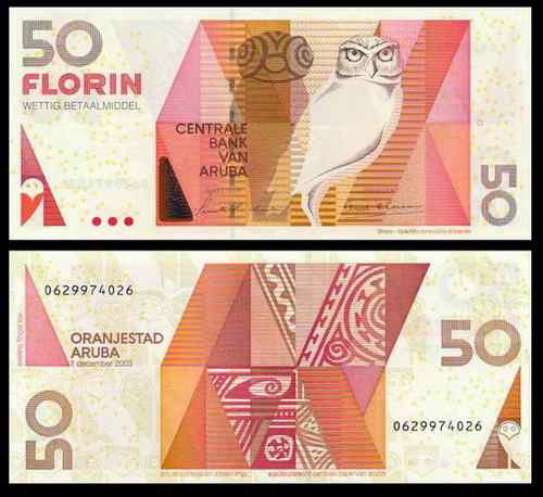 猫头鹰——阿鲁巴穴鸮