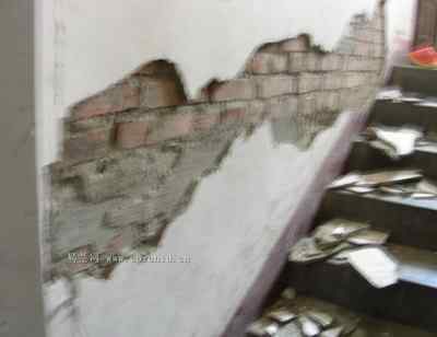 5.12大地震中的小雏鸟及地震记事（五）