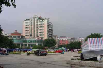 5.12大地震中的小雏鸟及地震记事（五）