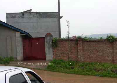 5.12大地震中的小雏鸟及地震记事（四）