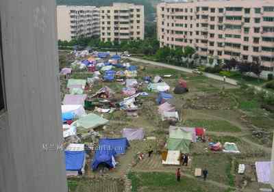 5.12大地震中的小雏鸟及地震记事（五）