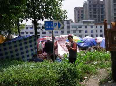 5.12大地震中的小雏鸟及地震记事（四）