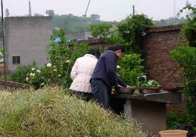 5.12大地震中的小雏鸟及地震记事（四）