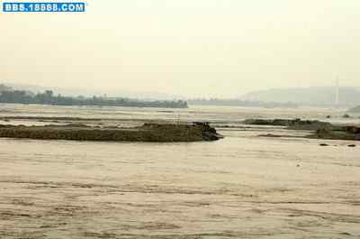 5.12大地震中的小雏鸟及地震记事（十六）