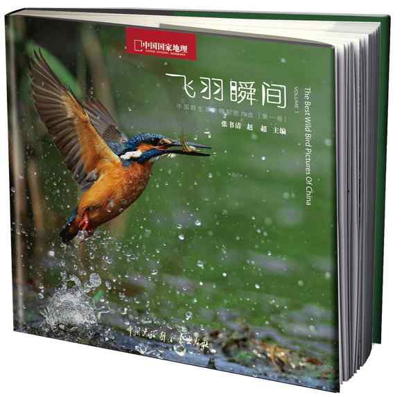 精美画册：飞羽瞬间—中国野生鸟类精彩图片选