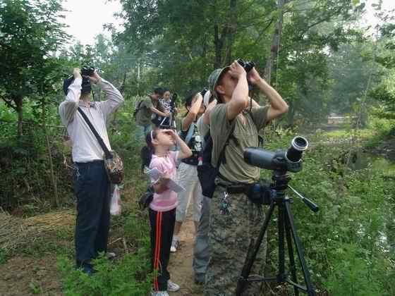 观鸟要从娃娃抓起——湖北第一部鸟类校本教材《观鸟》 观鸟要从娃娃抓起——湖北第一部鸟类校本教材《观鸟》