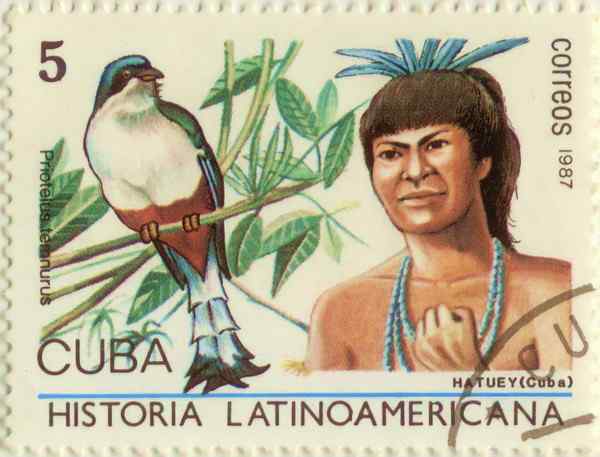 古巴国鸟——古巴咬鹃 Cuban Trogon