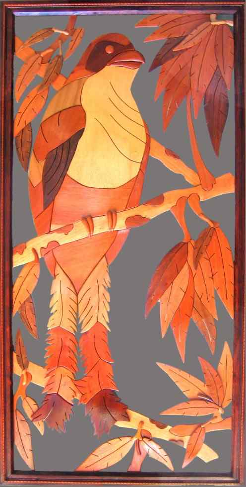 古巴国鸟——古巴咬鹃 Cuban Trogon