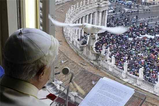 让人抓狂的鸟类 让人抓狂的鸟类