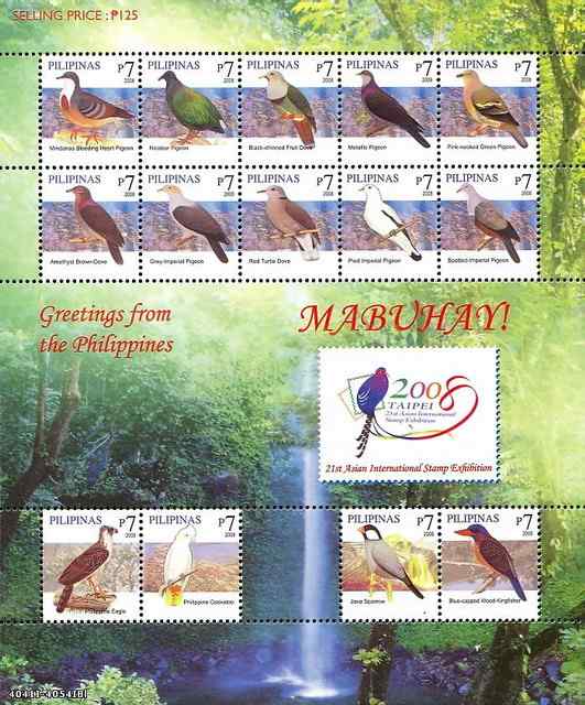 长发披肩的美丽鸽子——绿蓑鸽（尼柯巴鸠）