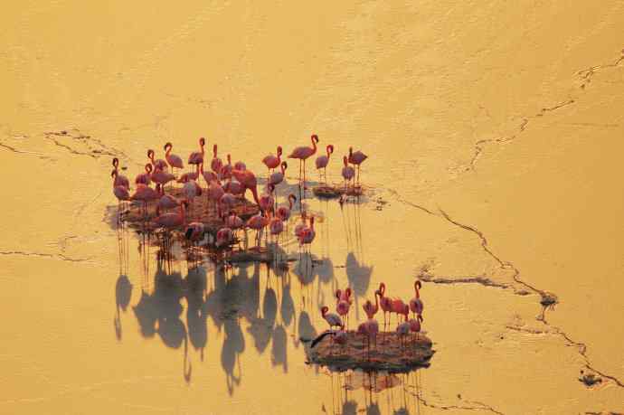 摄影家罗红作品：火烈鸟群的大河之舞
