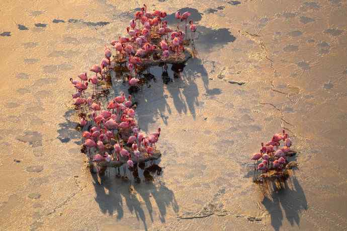 摄影家罗红作品：火烈鸟群的大河之舞