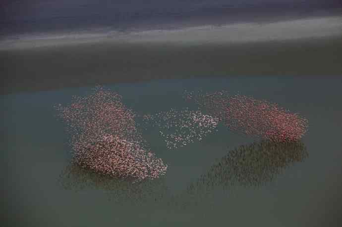 摄影家罗红作品：火烈鸟群的大河之舞