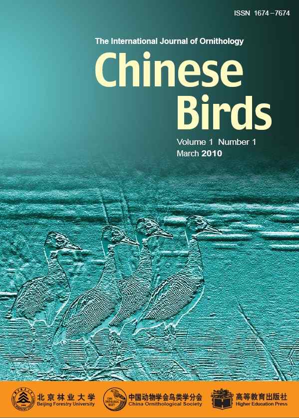 Chinese Birds 2010年第1期目录——免费赠阅！