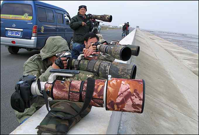 从老夫子到达人