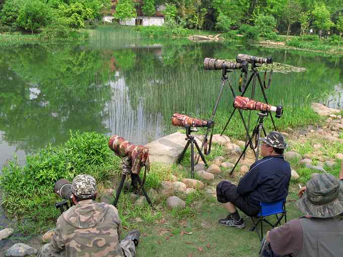 鸟人的江湖——鸟人大山雀的鸟世界