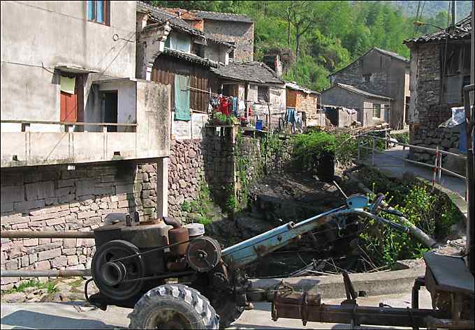 红头长尾山雀叼着一只蜘蛛！