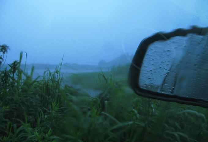 小小翠鸟，哥俩好，真可爱