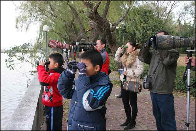 原来身边有这么多可爱的小精灵！