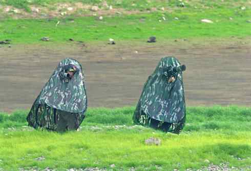 鹗的美餐与“不倒翁”