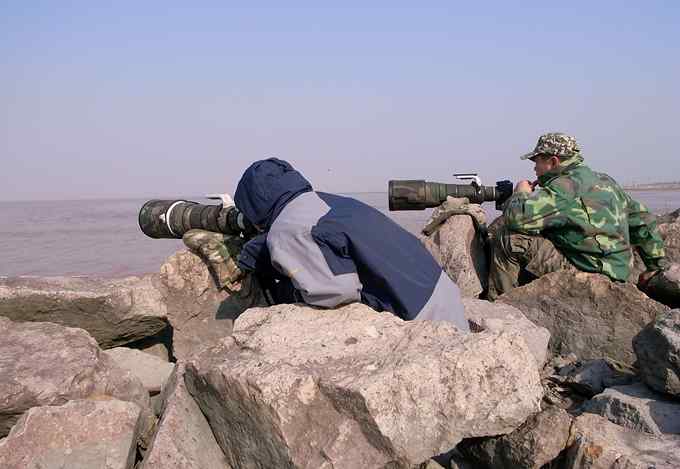 鸟人的江湖——鸟人大山雀的鸟世界