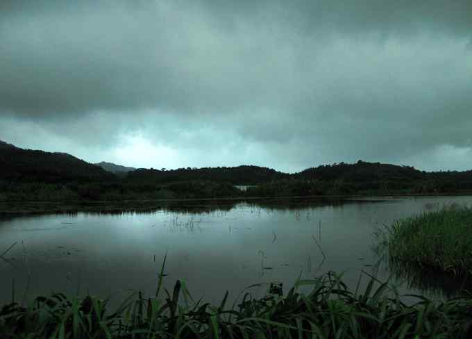 小小翠鸟，哥俩好，真可爱