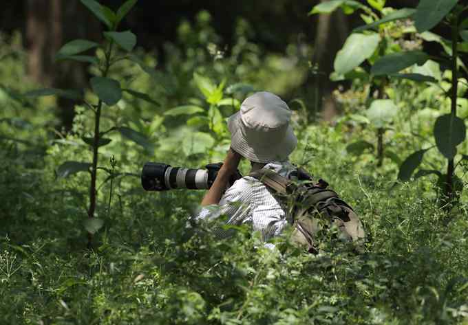 宁波大学拍鸟记