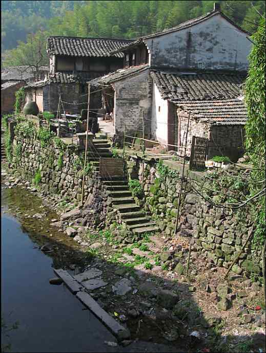 红头长尾山雀叼着一只蜘蛛！