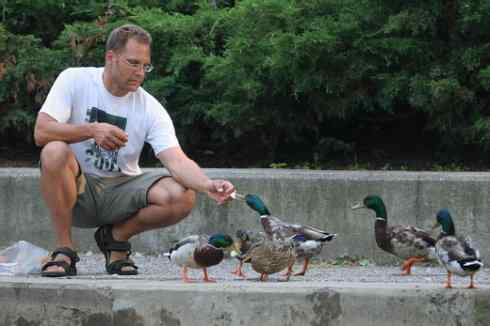 在美国拍了20多种鸟