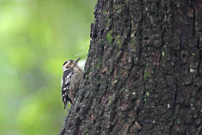 在世俗与自然之间穿行
