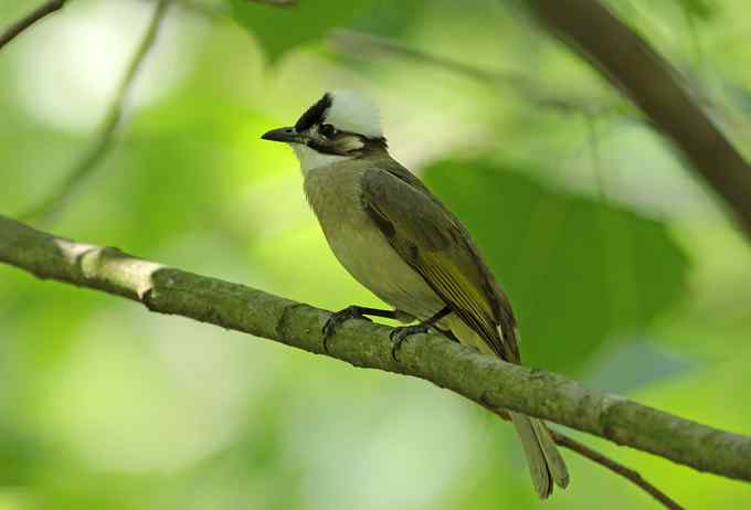 宁波大学拍鸟记