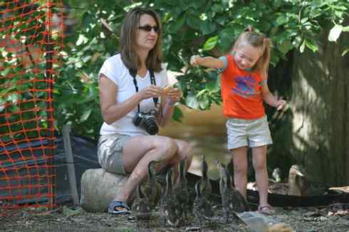 在美国拍了20多种鸟