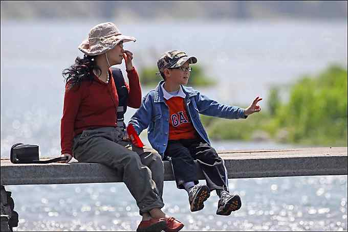 红头长尾山雀叼着一只蜘蛛！