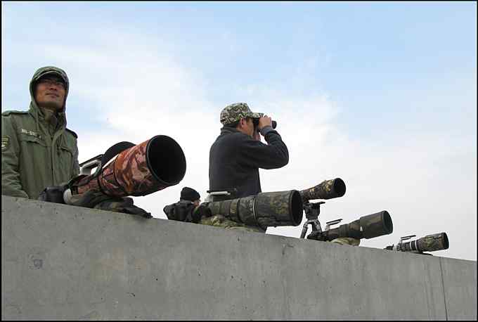 从老夫子到达人