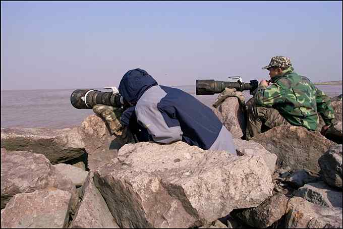 从老夫子到达人