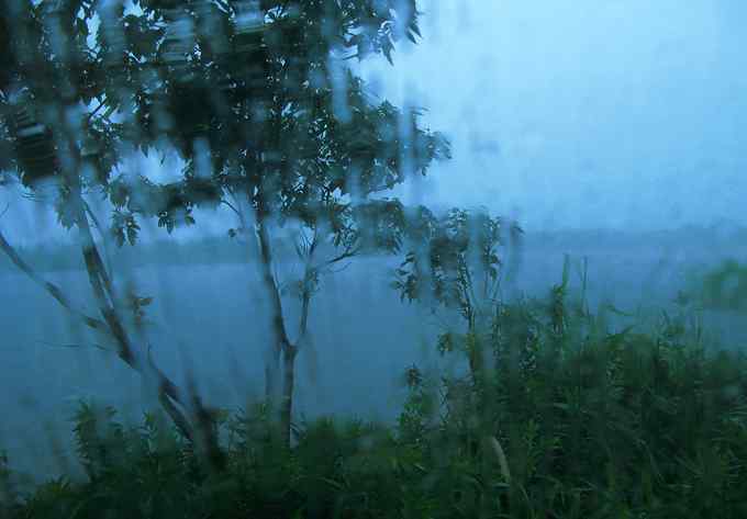 小小翠鸟，哥俩好，真可爱