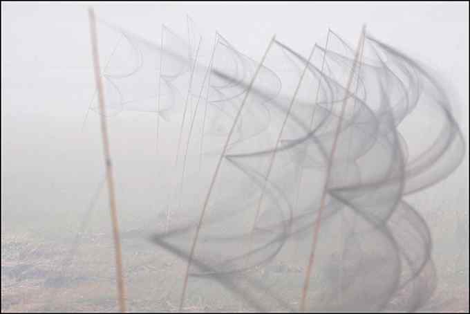 骇人的捕鸟巨网