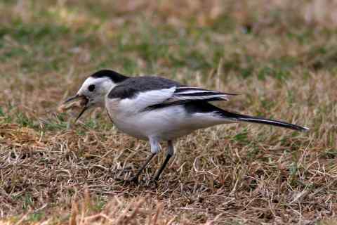 当心，别噎着了