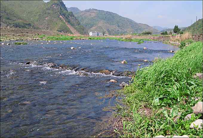 红头长尾山雀叼着一只蜘蛛！