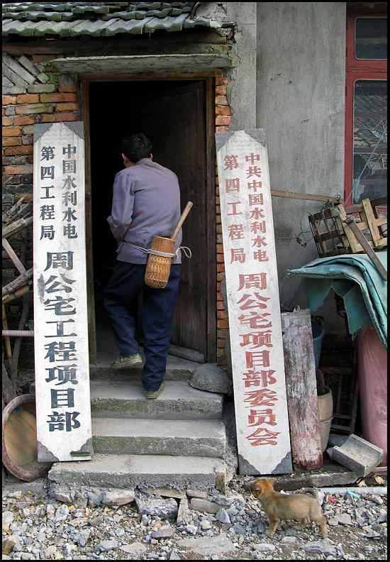 在小山村里拍家鸭家鹅