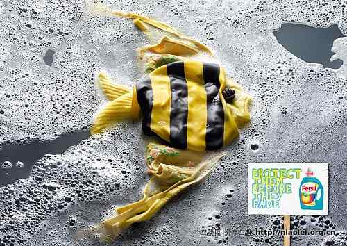 [创意广告]洗衣机里的火烈鸟